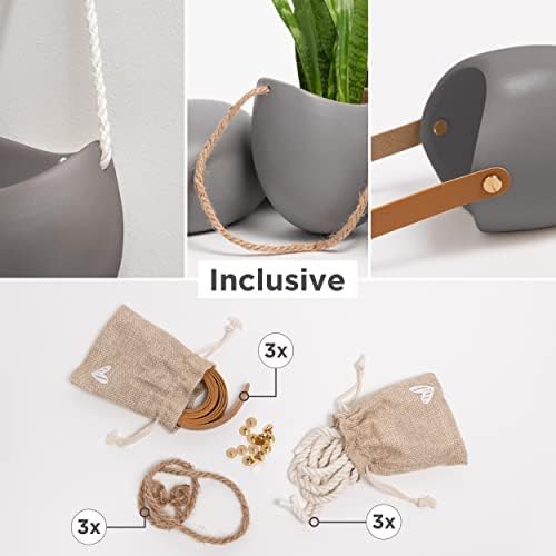 kazai. wall planters -ellie- | hanging ceramic plant shown in use