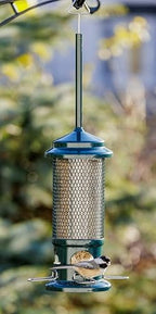 squirrel buster standard truly squirrel-proof bird feeder, side view