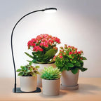 Desktop Plant Grow Light,12w Growing Lamps High Ppfd,Full Spectrum Desk Growth Light with Automatic Timer,4 Dimmable Levels（Black）