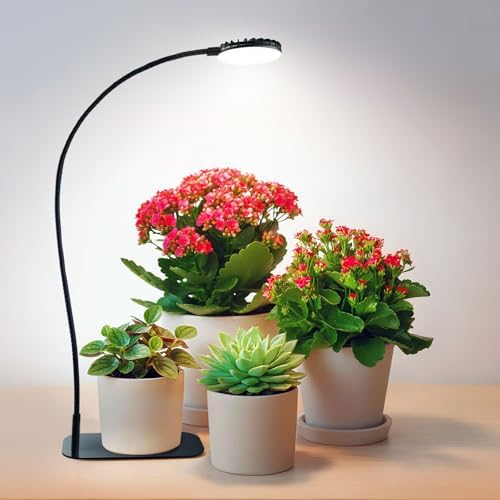 Desktop Plant Grow Light,12w Growing Lamps High Ppfd,Full Spectrum Desk Growth Light with Automatic Timer,4 Dimmable Levels（Black）