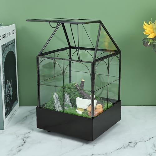 highfree glass terrarium with metal tray, glass greenhouse shown in use
