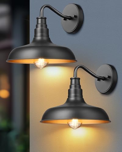 dewenwils 2 pack gooseneck barn outdoor wall light, main product view