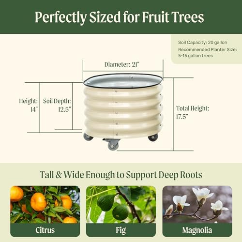 rolling metal citrus tree planter pot, 21″ round, close-up detail
