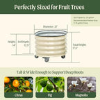 rolling metal citrus tree planter pot, 21″ round, close-up detail