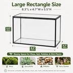 glass plant terrarium with lid, rectangular black metal, side view