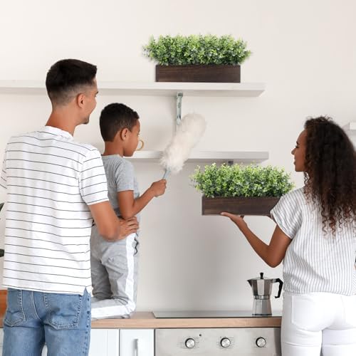 lyrow 2 pack eucalyptus plant,brown,16.1 inch,white frosted pointed on a desk or shelf