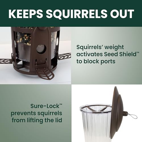 perky-pet squirrel-be-gone max bird feeder, (4) flexport feeding showing dimensions