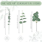 giegxin 270 pcs mixed artificial eucalyptus leaves stems shown in use