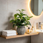 alphaacc 12.8" artificial ficus plant in cement pot, front angle view