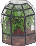 ncyp half dome geometric glass terrarium with door, main product view
