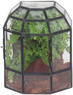 ncyp half dome geometric glass terrarium with door, main product view
