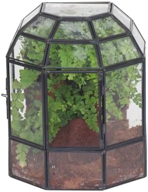 ncyp half dome geometric glass terrarium with door, main product view