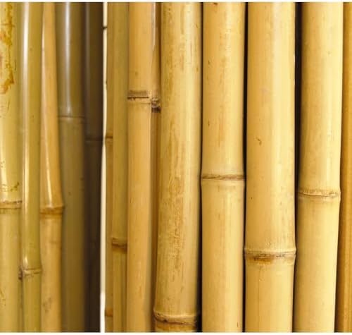 backyard x-scapes bama-bf023 bamboo fencing, 3/4" d x, side view