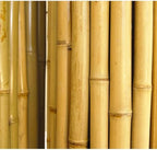 backyard x-scapes bama-bf023 bamboo fencing, 3/4" d x, side view