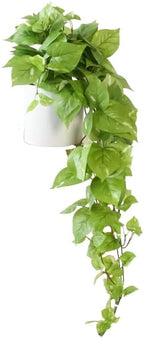 retrograde 32" fake plant, silk faux pothos ivy, main product view