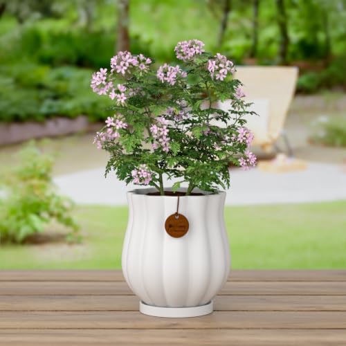 7.1" matte white ceramic plant pot with saucer, package contents