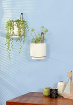 wall mounted hanging planter vase for indoor and on a desk or shelf