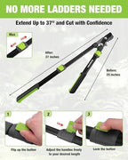 workpro extendable bypass lopper for gardening, 25-37" branch shown in use