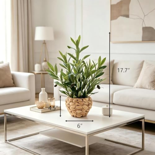 alphaacc fake potted plant small olive water hyacinth shown in use