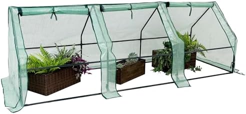 sunnydaze outdoor portable mini cloche greenhouse with 3 on a desk or shelf