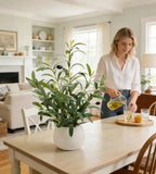 17" artificial olive plant white ceramic planter indoor shown in use