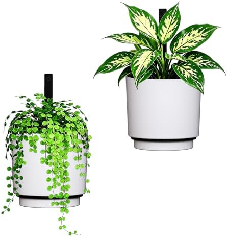 wall mounted hanging planter vase for indoor outdoor, front angle view