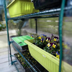 worth garden 50% extra wide mini greenhouse 5, front angle view