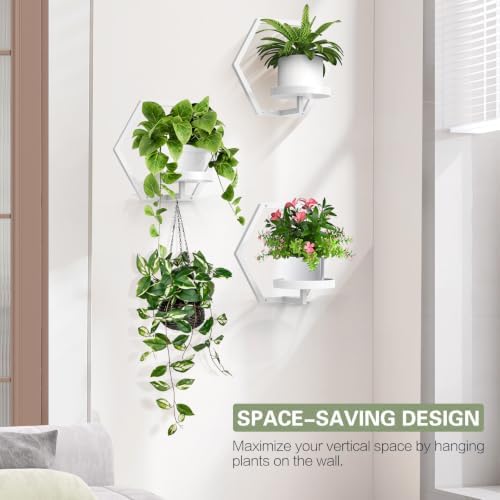 3 packs wall planters for indoor plants, 5.9inch showing dimensions