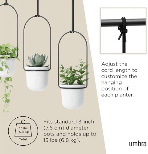 umbra triflora hanging planter, indoor herb garden, set showing dimensions