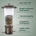perky-pet squirrel-be-gone max bird feeder, (4) flexport feeding, close-up detail