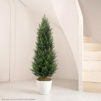 vitalismo 4ft artificial cedar trees set of 2, front angle view