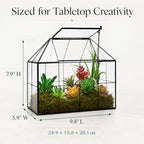large glass terrarium house planter – succulent plant shown in use