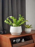 le tauci ceramic plant pots, 4.1+5.1+6.5 inch, set on a desk or shelf