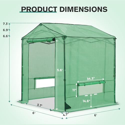 coos bay 6x6 pop up greenhouse outdoor, walk, close-up detail