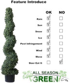 all season green 4' spiral boxwood topiary trees shown in use