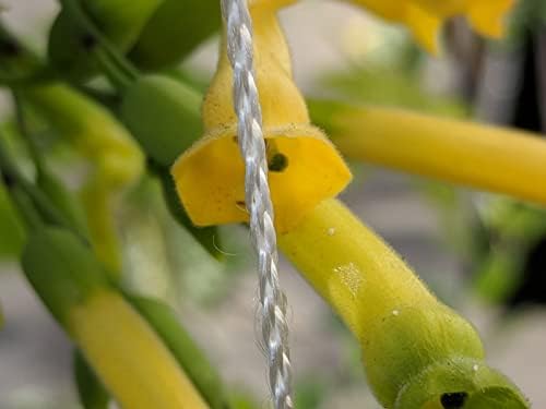 247garden 6x200ft all-season trellis netting w/ 6in square, view 9
