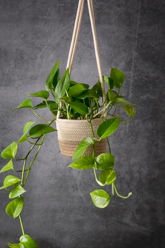 supermoss (54029 softweave hanging planters for indoor plants, package contents
