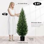 vitalismo 5ft artificial cedar trees set of 2 shown in use