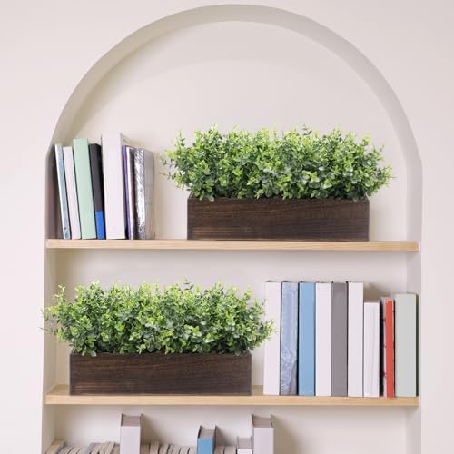 lyrow 2 pack eucalyptus plant,brown,16.1 inch,white frosted pointed showing dimensions