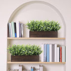 lyrow 2 pack eucalyptus plant,brown,16.1 inch,white frosted pointed showing dimensions