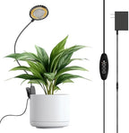 Small Grow Light for Indoor Plants, 12W Clip-On LED, Black | Flexible Gooseneck, 3/6/12H Timer, 4 Dimmable Levels for Desk or Windowsill