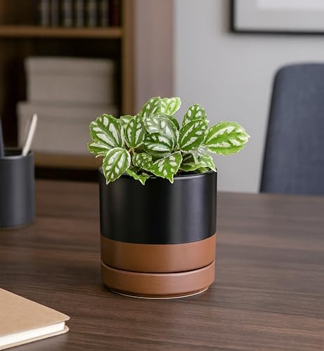 D'vine Dev 4.7 Inch Ceramic Planter Pot, Black/Tan, 94-O-B-7 | Modern Cylinder Design, Drainage Hole & Saucer Included, Stable Structure, Elegant Home Accent