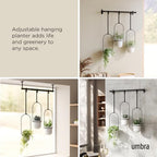 umbra triflora hanging planter, indoor herb garden, set, side view