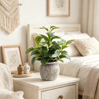 alphaacc 12.8" artificial ficus plant in cement pot on a desk or shelf