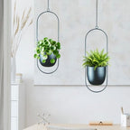 modern metal hanging planters with 6 inch pots showing dimensions