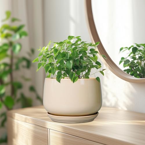 g epgardening ceramic planter, 7 inch plant pots, package contents