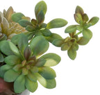 mygift artificial succulent arrangement in round gray cement, package contents