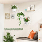 3 packs wall planters for indoor plants, 5.9inch, package contents
