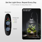 glass plant terrarium, led grow light, adjustable ventilation shown in use