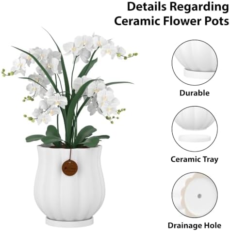 7.1" matte white ceramic plant pot with saucer, side view